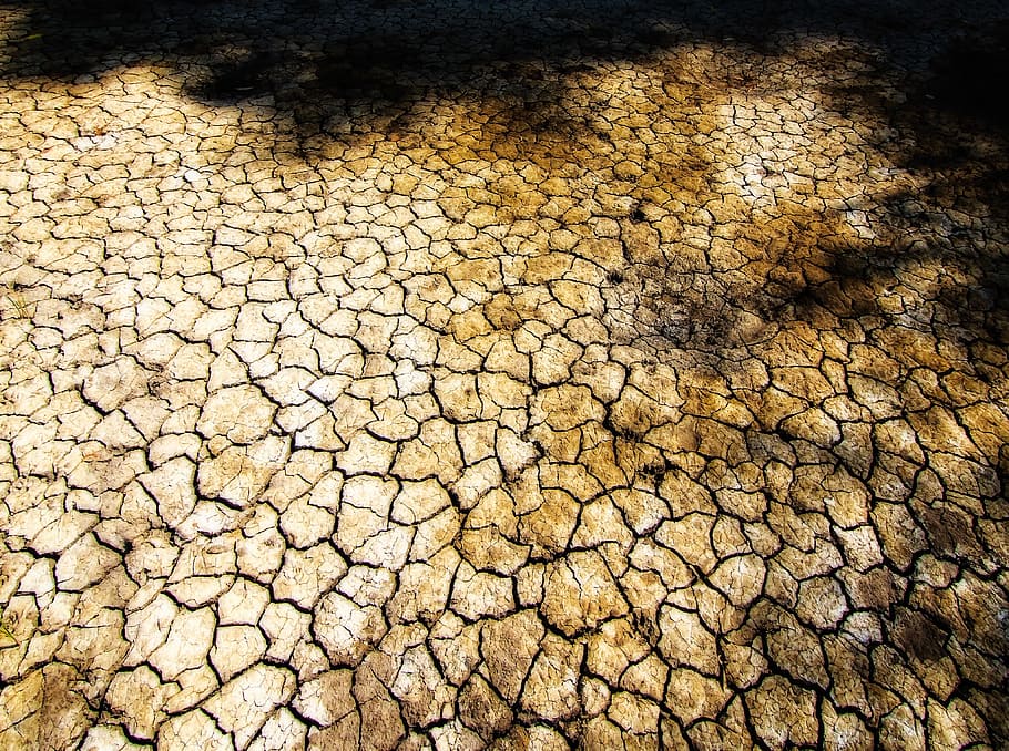 cracked earth, dry land, mangue, northeast, backcountry, climate, HD wallpaper