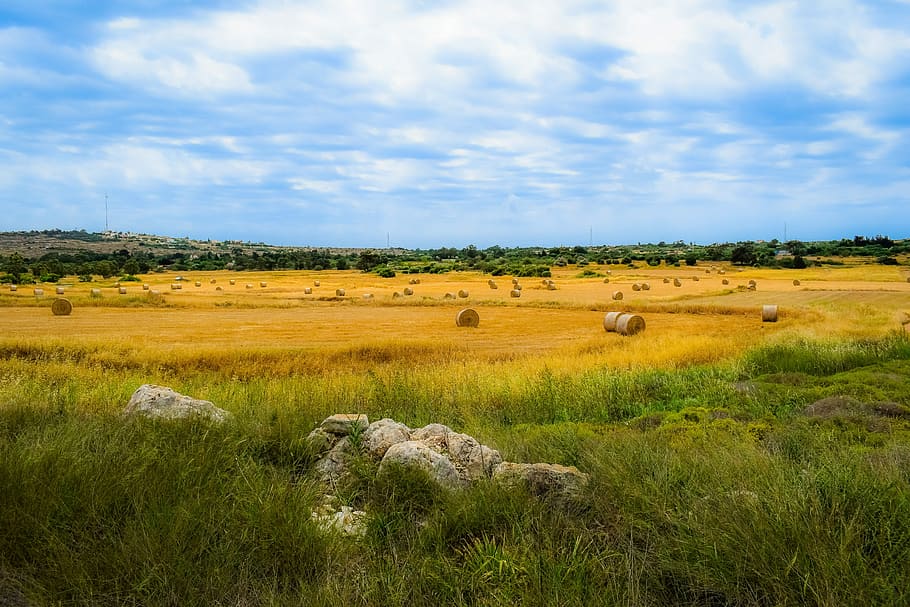 brown stone on green grasses during daytime, landscape, nature HD wallpaper