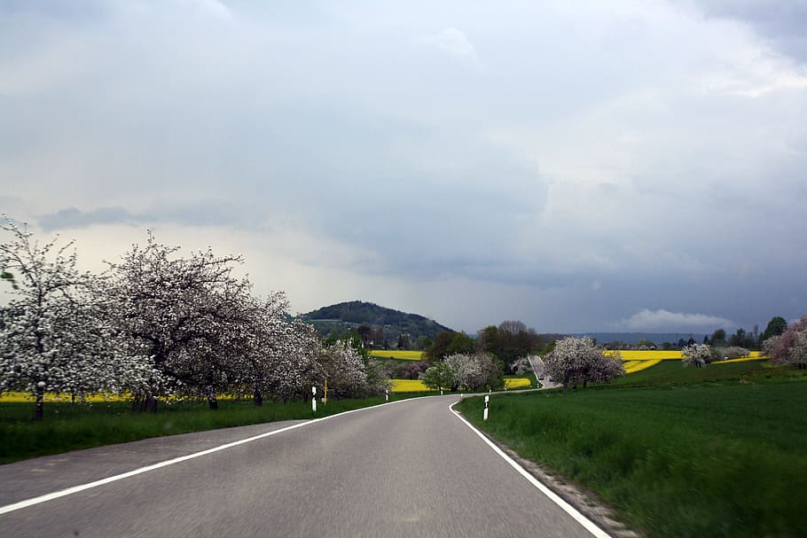 road, rapeseed fields, spring, hegau, landscape, sky, rural HD wallpaper