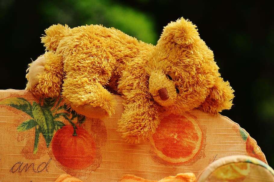 bear, sofa, bears, sweet, cute, plush, teddy, funny, cozy, chill out HD wallpaper