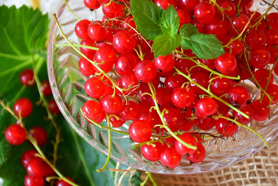 cherry tomatoes with leaves, currants, red, red currant, fruit HD wallpaper