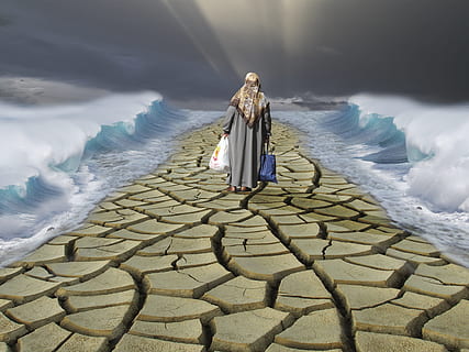 photo of painting of Moses, refugee, refugees, integration HD wallpaper