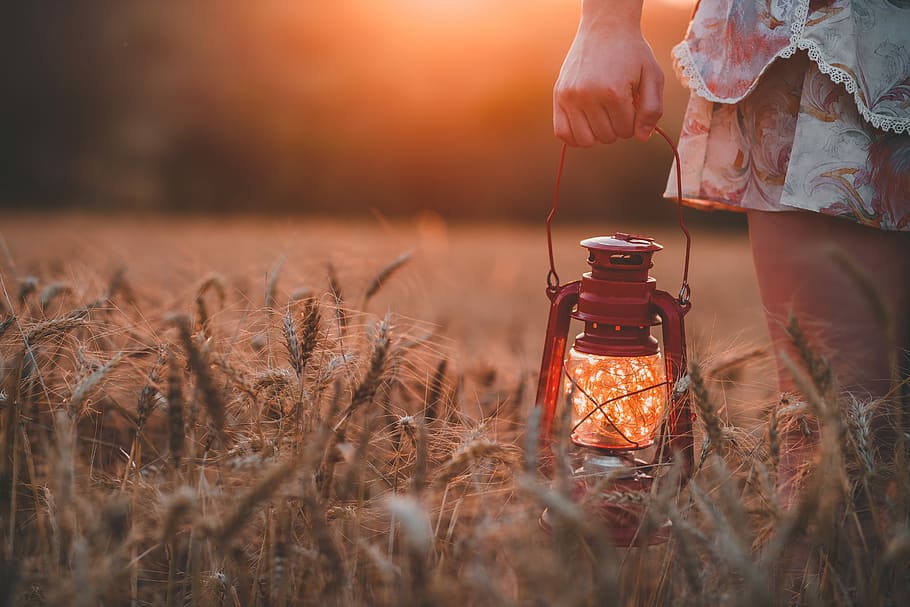 closeup photography of woman wearing floral skirt holding red gas lantern at brown grass field, person carrying a kerosene lantern while walking on grass HD wallpaper