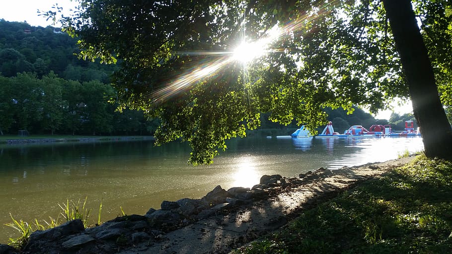 Summer, Lake, Lakeside, sunbeam, lens flare, tree, sunlight HD wallpaper