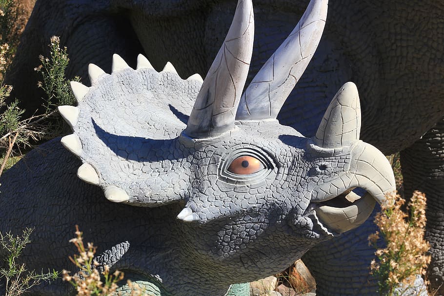 triceratops, dinosaur, statue, fossil, reptile, animal, prehistoric