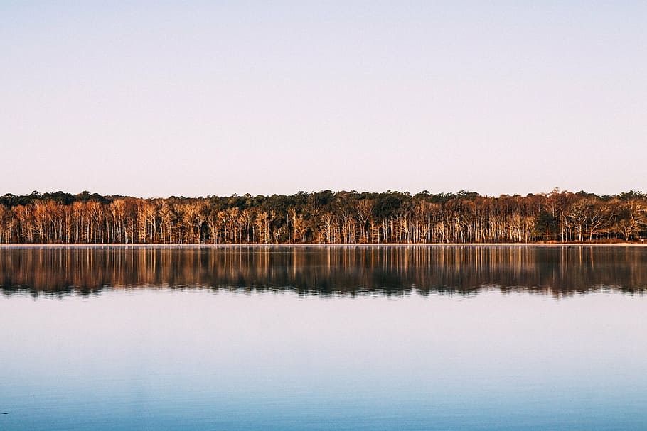 view of water body, trees, lake, reflection, mirror, nature HD wallpaper