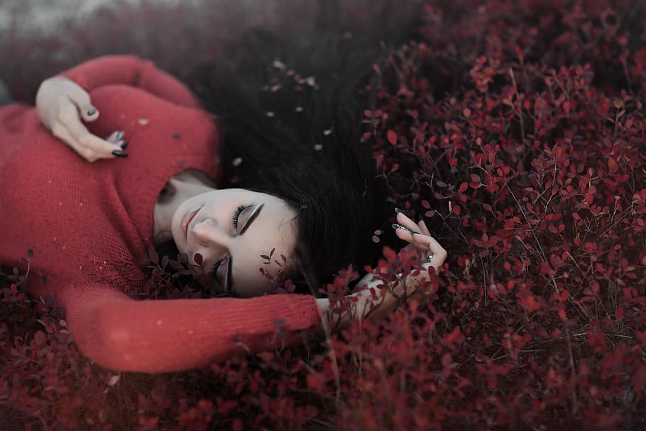woman in red sweater lying in red flower field, leaves, falling HD wallpaper
