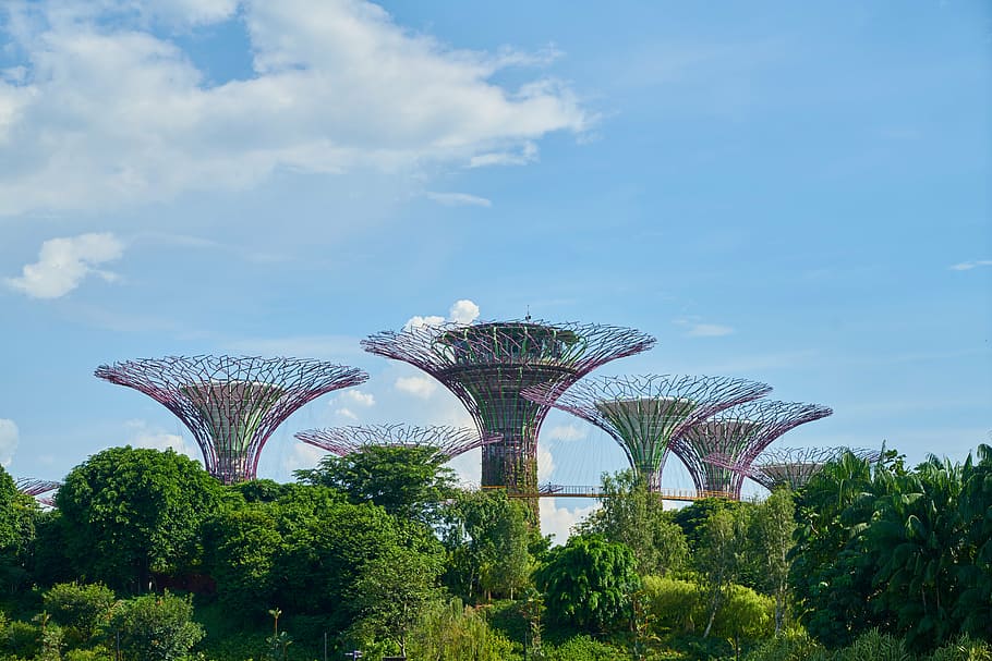 singapore, asian, park, garden, nature, green, trees, botanical, HD wallpaper