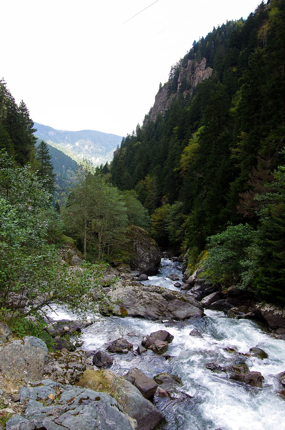 dd, storm, forest, green, streaming, tree, autumn, rize, valley