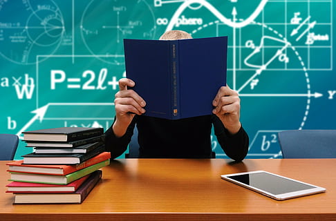 person holding book illustration, school, study, learn, books HD wallpaper