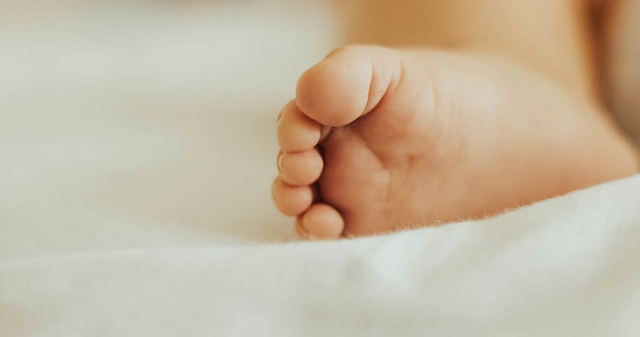 close-up photo of baby's foot, toddler's foot shallow focus photography, HD wallpaper
