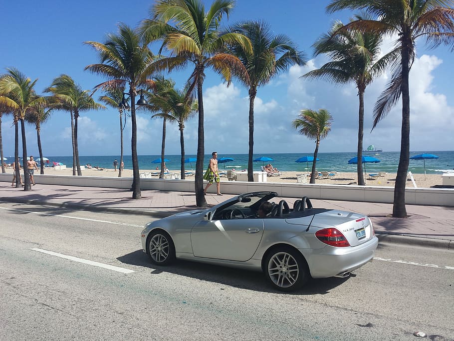 silver convertible on street near seashore with tall trees and sun loungers HD wallpaper