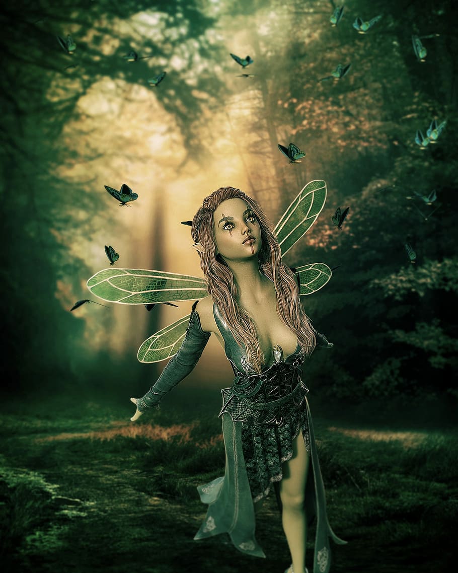 fairy character standing surrounding trees illustration, fantasy HD wallpaper
