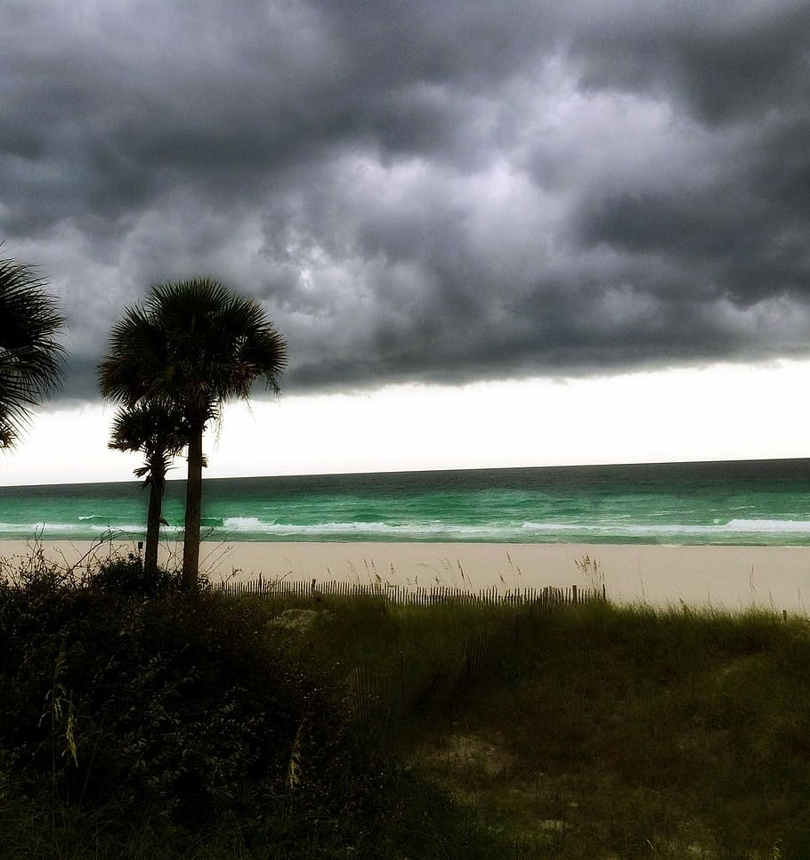 Beach, Clouds, Florida, Ocean, Water, summer, sea, nature, coast HD wallpaper