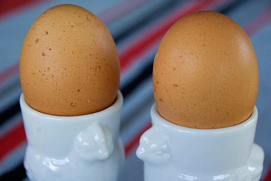 Boiled Eggs, Cups, Hen, egg cups, food, animal Egg, brown, breakfast HD wallpaper