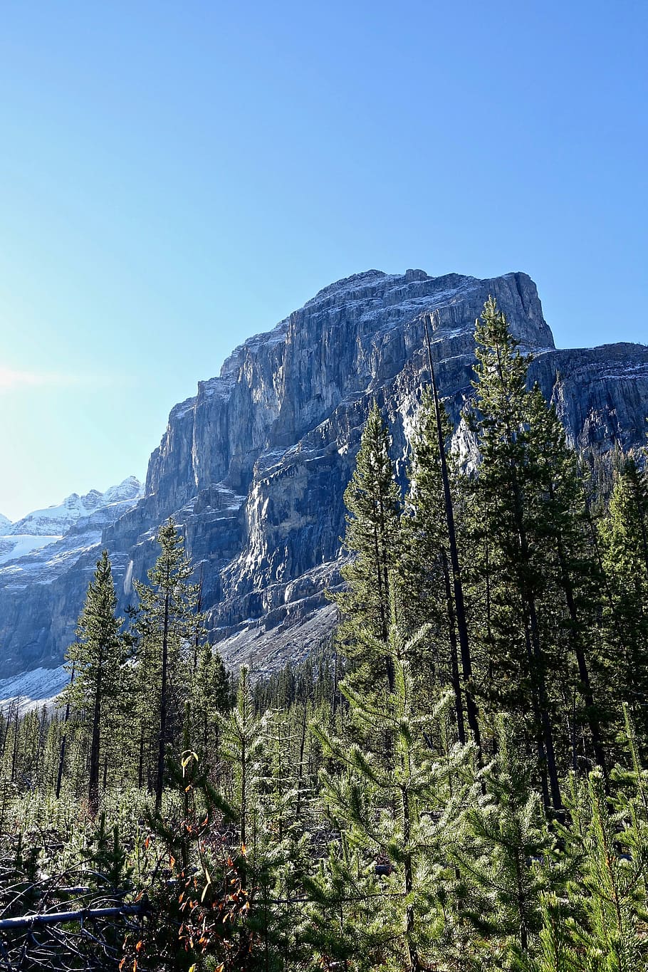 Peak, Forest, Forest, Mountain, Mountain, Wilderness, outdoor HD wallpaper