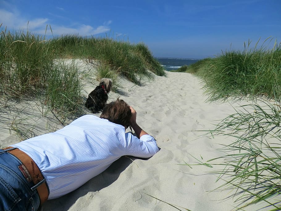sand, sylt, sun, ocean, nort, water, sea, coast, summer, sky HD wallpaper