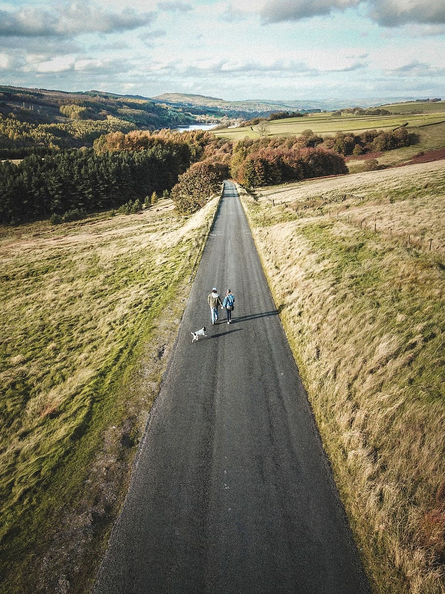 two men walking on road, two person standing on road, cute, stroll HD wallpaper