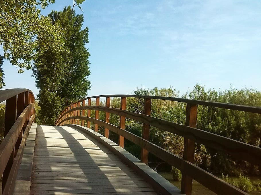 architectural photography of wooden bridge, Tree, Path, Entrepreneurship HD wallpaper