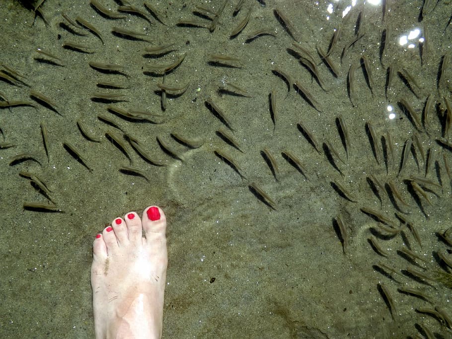 over, water, leg, nail polish, human body part, barefoot, one person HD wallpaper