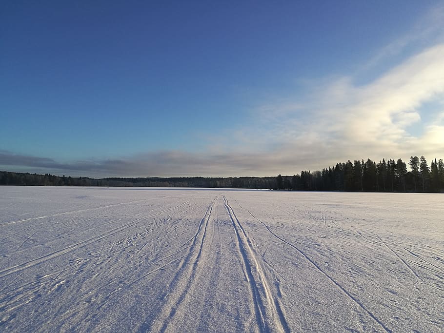 winter, nature, cold, snowy, finnish, finland, landscape, frost HD wallpaper