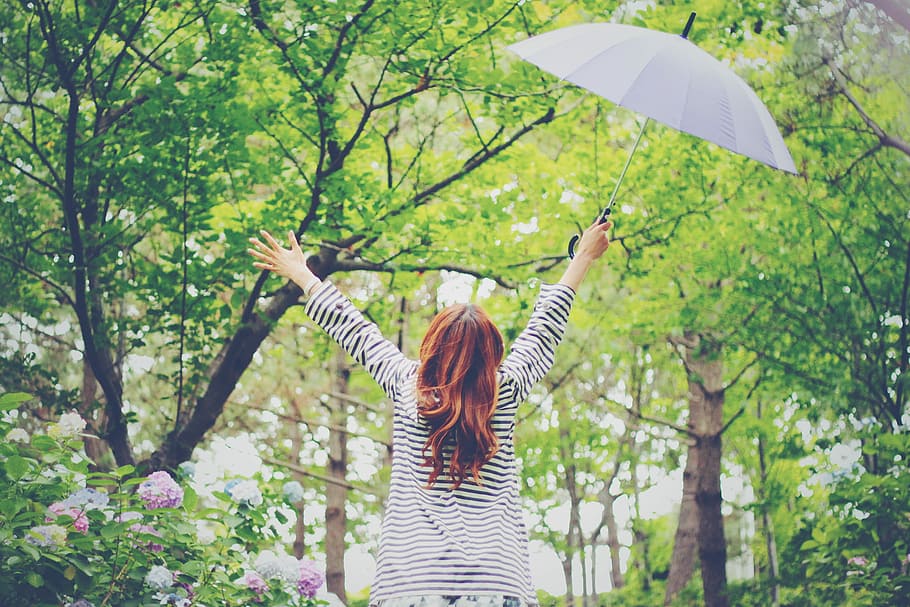 woman with white and black stripe dress raising hands white holding umbrella surrounded with trees and plants HD wallpaper