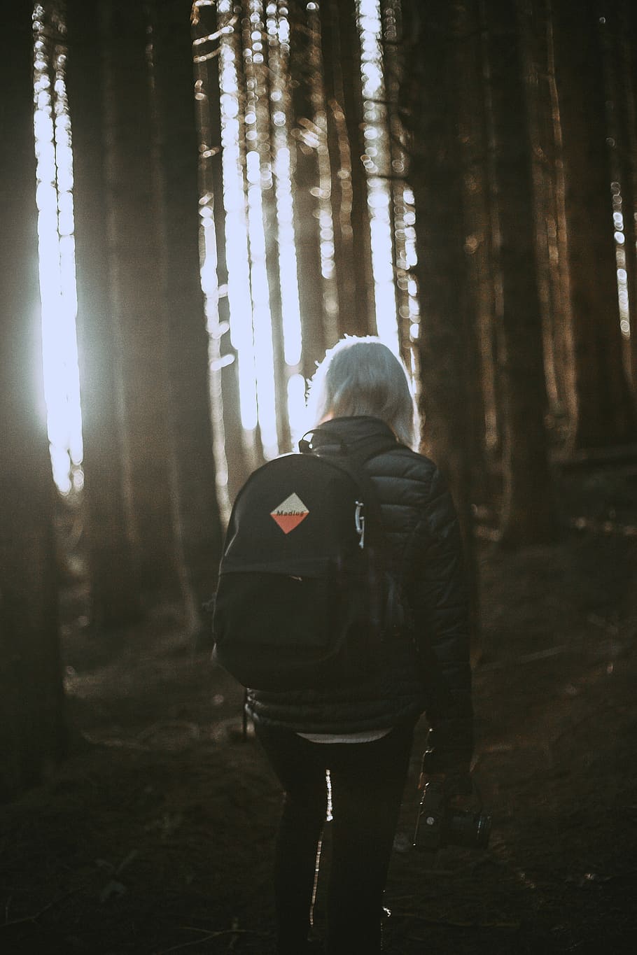 person carrying backpack walking towards trees, person wearing black bag HD wallpaper