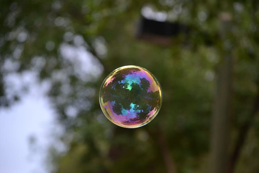 shallow focus photography of bubbles, soap, nature, green, day HD wallpaper