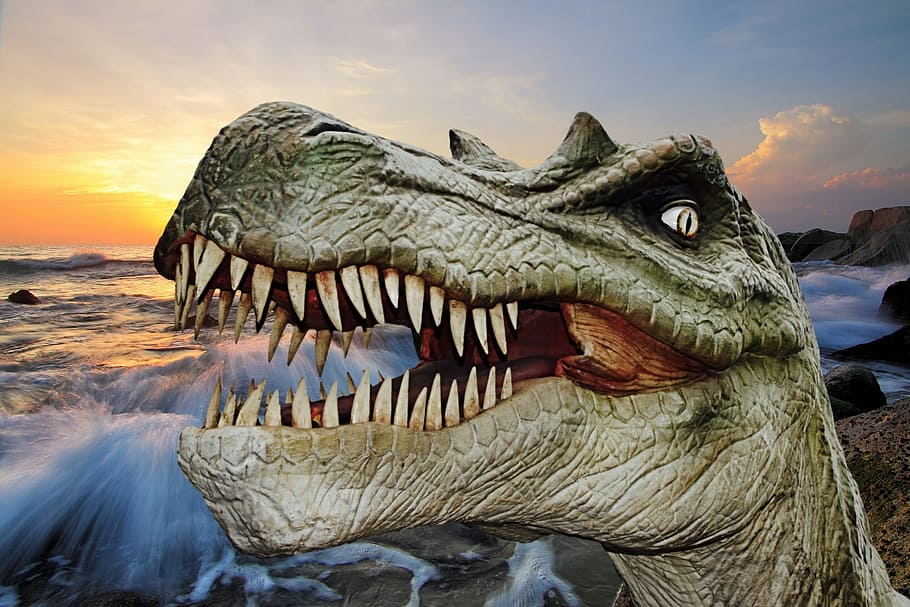 gray dinosaur wallpaper, giant lizard, prehistoric times, t rex