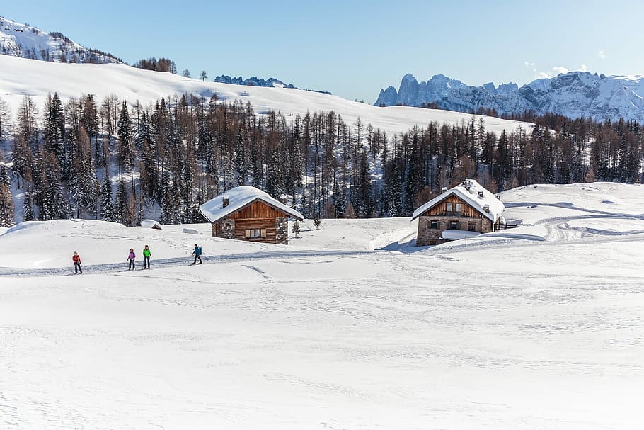 people standing on snow covered mountain, four people near cabin covered with snow HD wallpaper