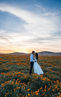 Wild Passion, newlywed couple kissing on orange flower field during daytime HD wallpaper