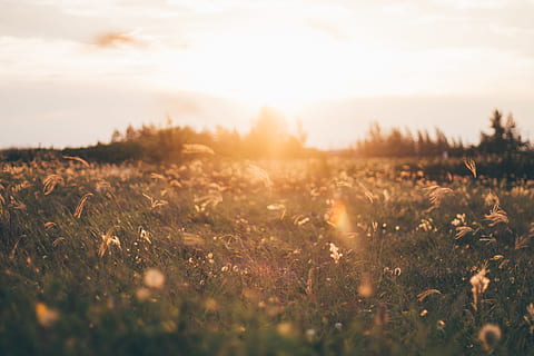 light, dawn, landscape, nature, clouds, daylight, dusk, evening HD wallpaper