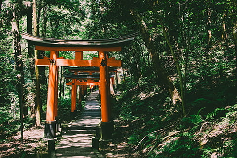 orange and black tori gates, Inari shrine, Japan, temple, structure HD wallpaper