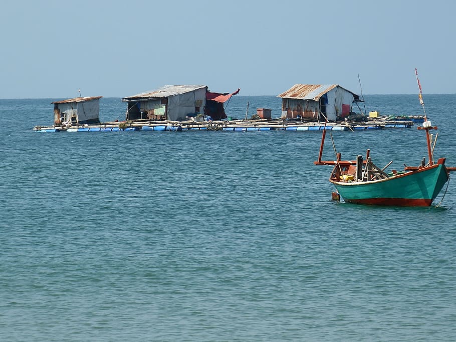 fischer, sea, boats, fish, fishing boat, vietnam, phu quoc HD wallpaper
