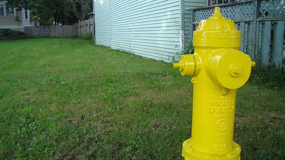 fire hydrant, fireplug, yellow, emergency, safety, grass, plant HD wallpaper