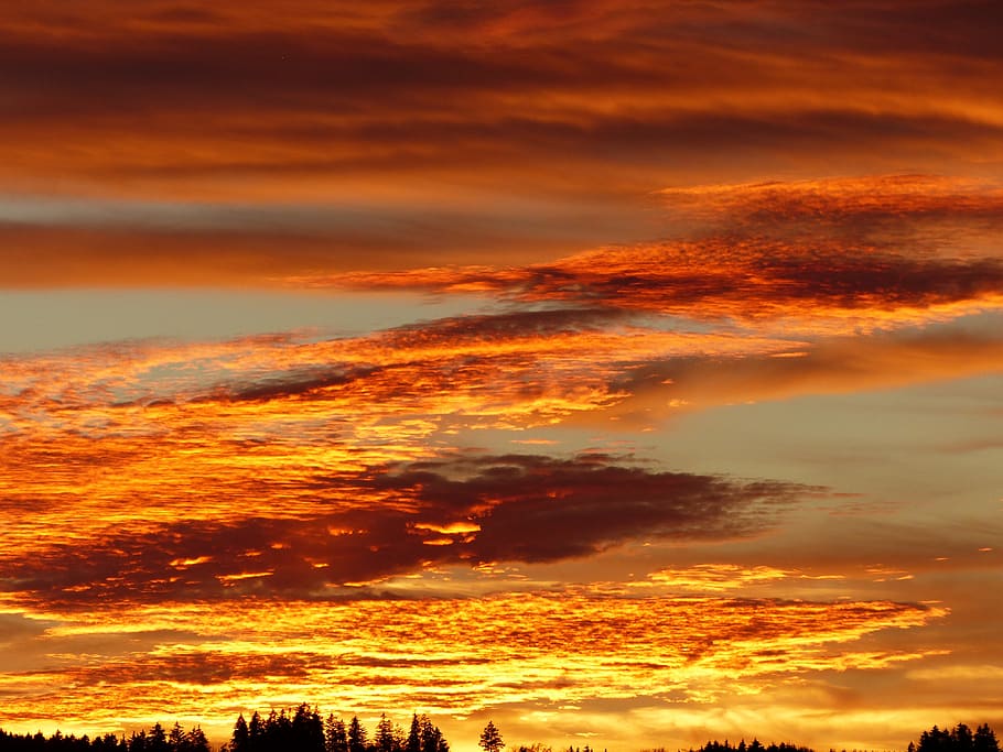 sunset, gold, abendstimmung, backlighting, evening, mood, evening sun HD wallpaper