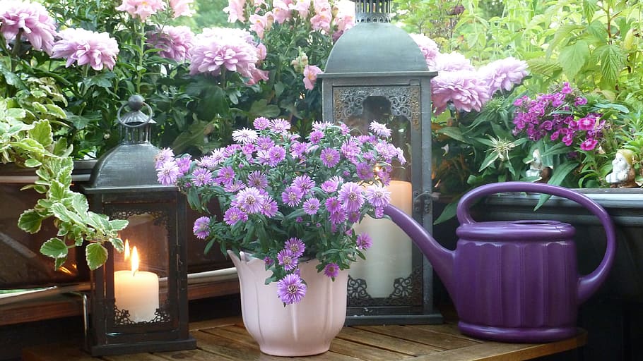 purple flowers beside candle lanterns and watering can, balcony, HD wallpaper
