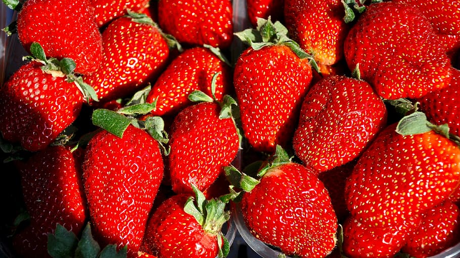 strawberry, fruit, spring, food, freshness, red, ripe, organic HD wallpaper