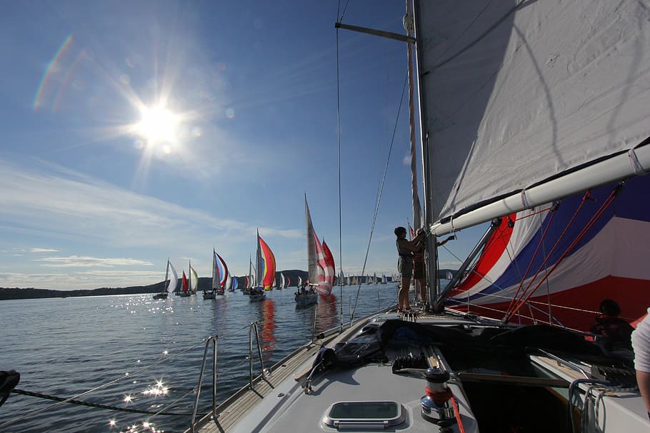 sailing, regatta, nautical vessel, transportation, water, mode of transportation HD wallpaper
