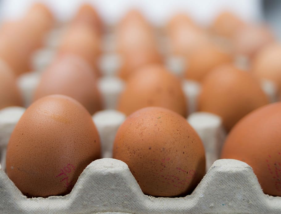 Eggs, Package, Food, Carton, multiple, in a row, food and drink HD wallpaper