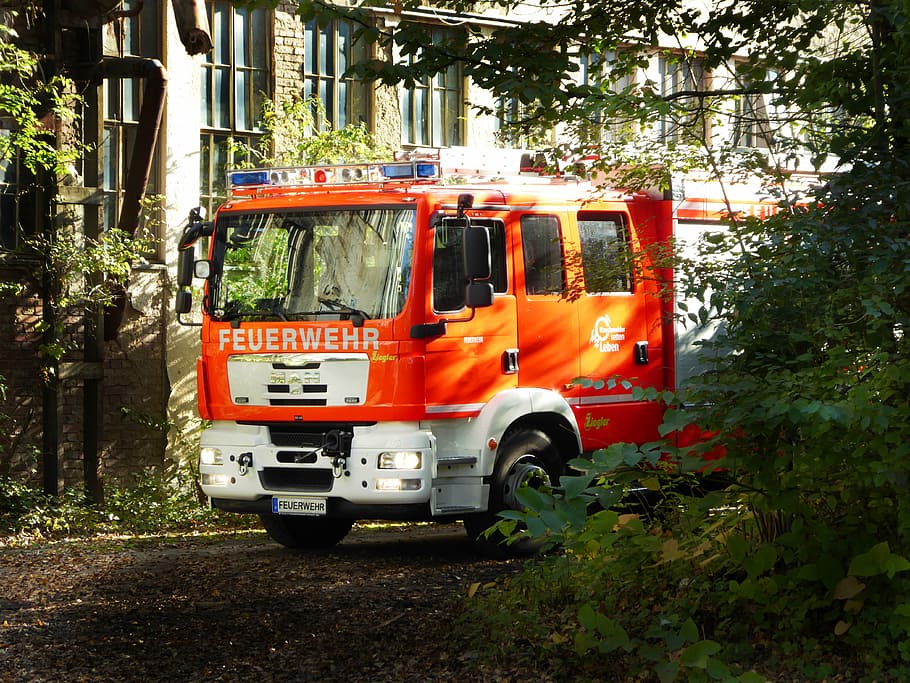 fire, fire truck, use, profession, vehicles, plant, land vehicle HD wallpaper