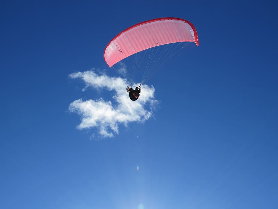 person riding parachute during day, Paragliding, Freedom, Parasailing HD wallpaper