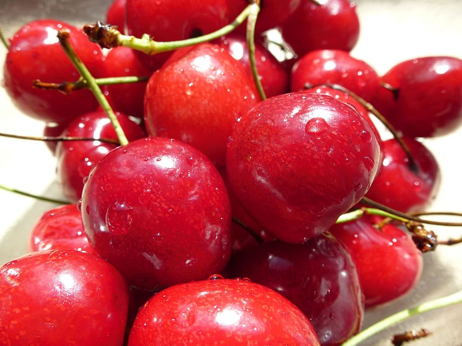 cherry, cherries, cherry harvest, healthy eating, food, food and drink HD wallpaper