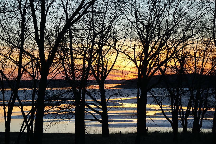 sunset, tree, winter, lake, nature, silhouette, bare tree, sky HD wallpaper