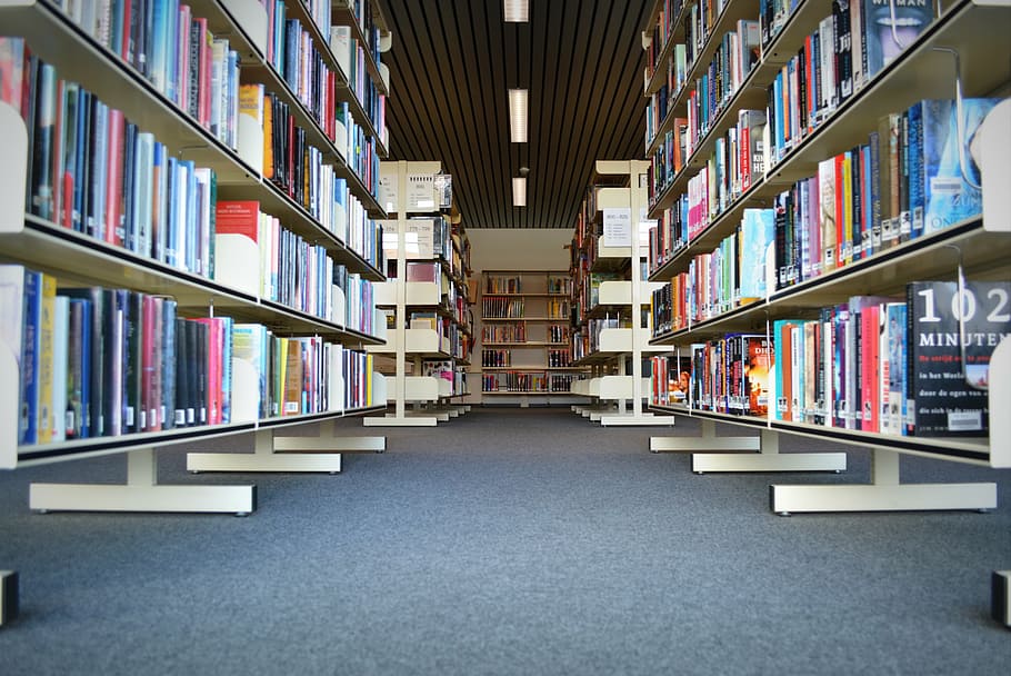books, library, read, bookmarks, bookshelf, symmetry, education HD wallpaper
