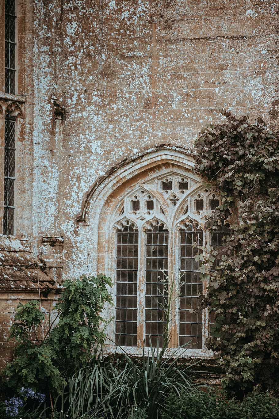 Forde Abbey, plants beside concrete building, arch, window, stone HD wallpaper