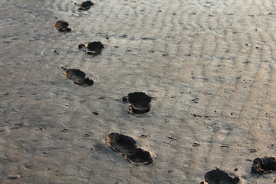 footprints on mudland, steps, bristol, coast, ebb, traces, watts HD wallpaper