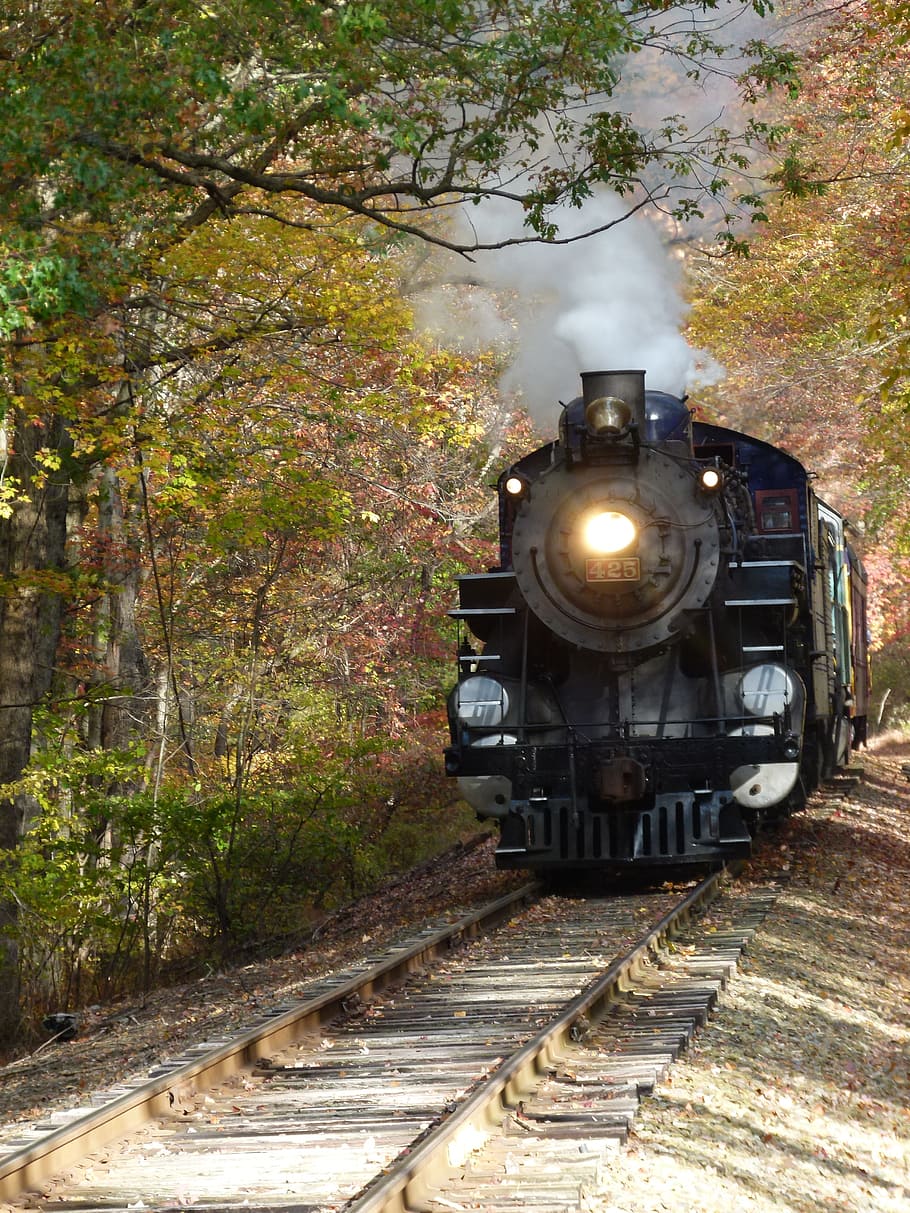 Steam Train, Locomotive, engine, railroad, vintage, black, history, HD wallpaper