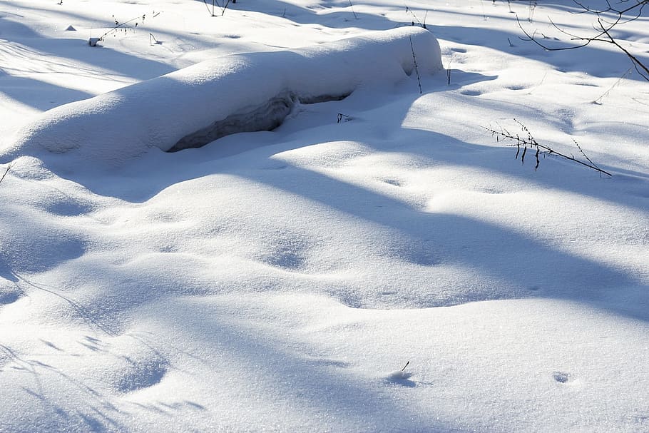 snow, winter, coldly, ice, frozen, landscape, snowdrift, nature HD wallpaper