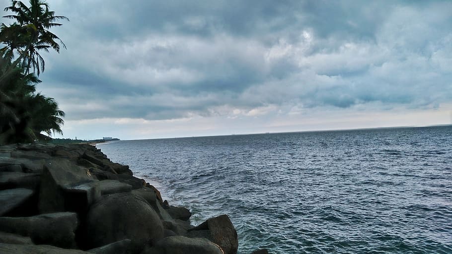 Trees Near Body of Water, beach, clouds, daylight, horizon, landscape HD wallpaper